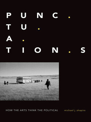 cover image of Punctuations